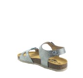 PLAKTON 131407  TITANIO TEEN