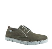HIMALAYA 2572  KAKI