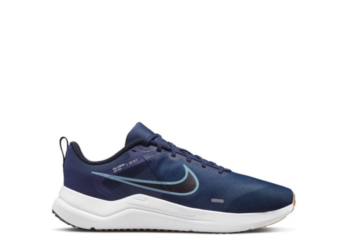 NIKE DD9293-400  DOWNSHIFTER 12