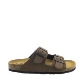 PLAKTON 180010  CASTAGNA