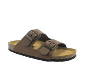 PLAKTON 180010  CASTAGNA
