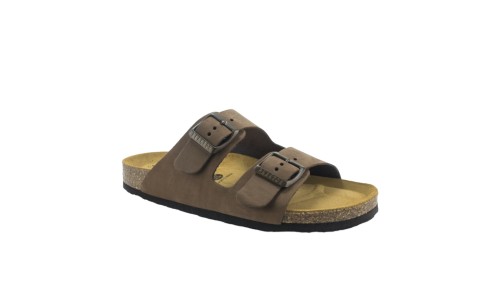 PLAKTON 180010  CASTAGNA