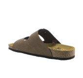 PLAKTON 180010  CASTAGNA