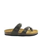 PLAKTON 181032  KAKI