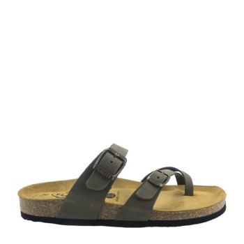 PLAKTON 181032  KAKI