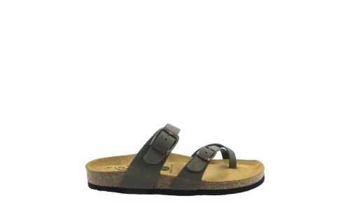 PLAKTON 181032  KAKI