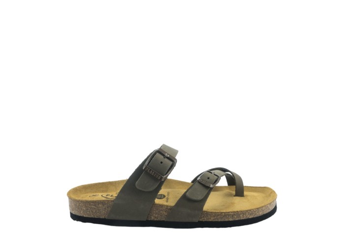 PLAKTON 181032  KAKI