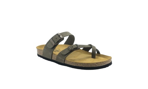 PLAKTON 181032  KAKI