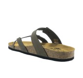 PLAKTON 181032  KAKI