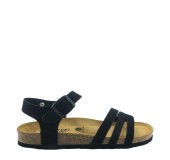 PLAKTON 181007  NEGRO