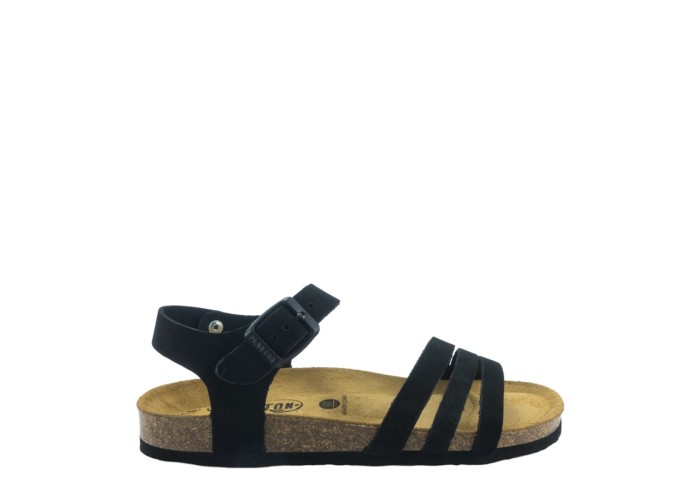 PLAKTON 181007  NEGRO