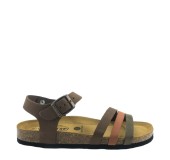 PLAKTON 181007  KAKI/ARAGOSTA/CASTAGNA