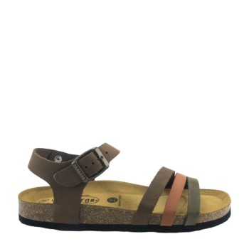 PLAKTON 181007  KAKI/ARAGOSTA/CASTAGNA
