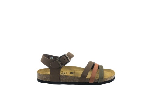 PLAKTON 181007  KAKI/ARAGOSTA/CASTAGNA