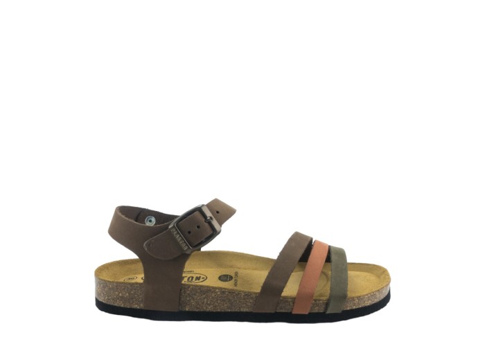 PLAKTON 181007  KAKI/ARAGOSTA/CASTAGNA