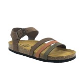 PLAKTON 181007  KAKI/ARAGOSTA/CASTAGNA