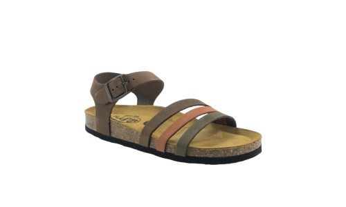 PLAKTON 181007  KAKI/ARAGOSTA/CASTAGNA