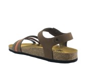 PLAKTON 181007  KAKI/ARAGOSTA/CASTAGNA