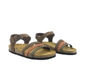 PLAKTON 181007  KAKI/ARAGOSTA/CASTAGNA