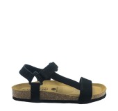 PLAKTON 186127  NEGRO