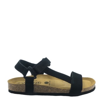 PLAKTON 186127  NEGRO