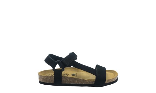 PLAKTON 186127  NEGRO