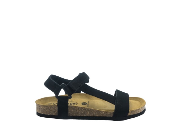 PLAKTON 186127  NEGRO