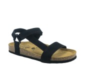 PLAKTON 186127  NEGRO