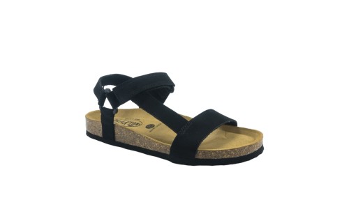 PLAKTON 186127  NEGRO