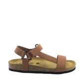 PLAKTON 186127 ARAGOSTA PLAKTON 186127 ARAGOSTA