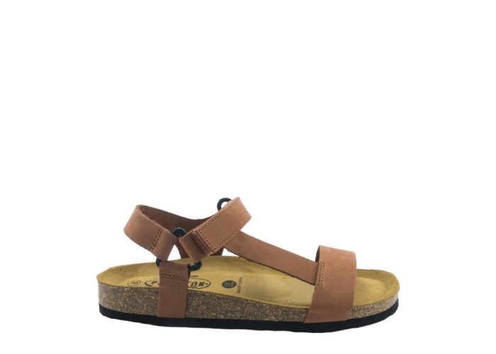 PLAKTON 186127 ARAGOSTA PLAKTON 186127 ARAGOSTA