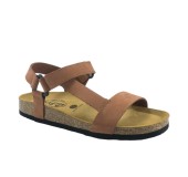 PLAKTON 186127 ARAGOSTA PLAKTON 186127 ARAGOSTA