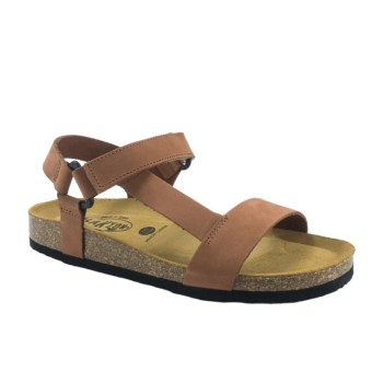 PLAKTON 186127  ARAGOSTA