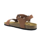 PLAKTON 186127 ARAGOSTA PLAKTON 186127 ARAGOSTA