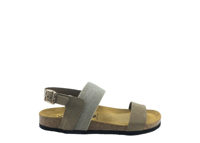 PLAKTON 185886 OLIVIA PLAKTON 185886 OLIVIA