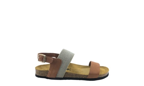 PLAKTON 185886  ARAGOSTA