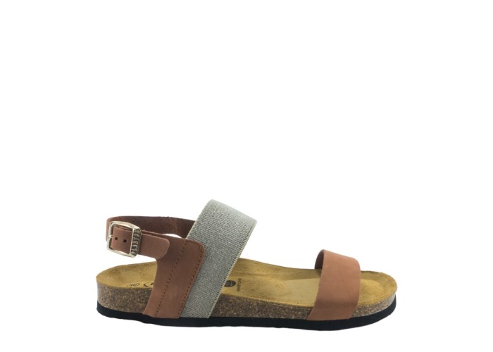 PLAKTON 185886  ARAGOSTA