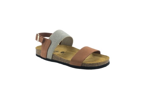 PLAKTON 185886  ARAGOSTA
