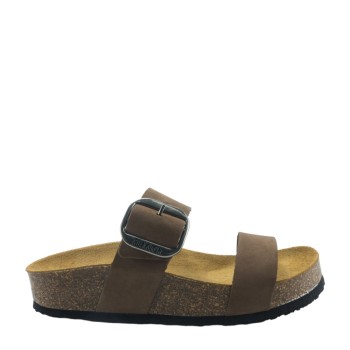 PLAKTON 343004  CASTAGNA