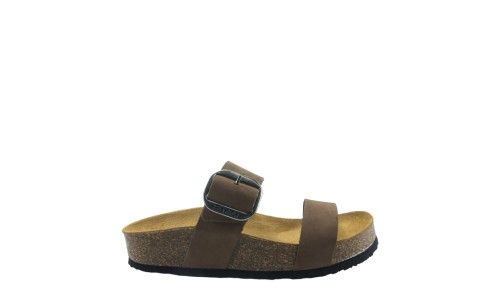 PLAKTON 343004  CASTAGNA