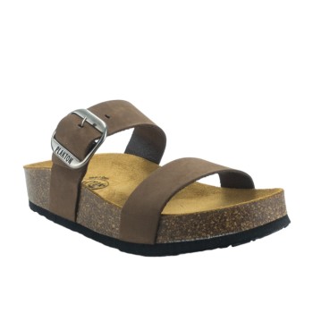 PLAKTON 343004  CASTAGNA