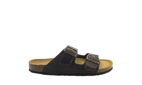 PLAKTON 175857  MARRON