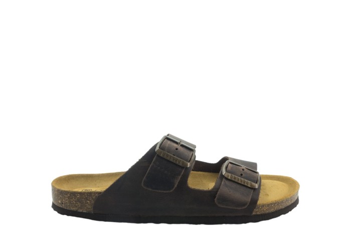 PLAKTON 175857  MARRON