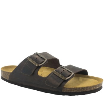 PLAKTON 175857  MARRON