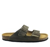 PLAKTON 175857  KAKI