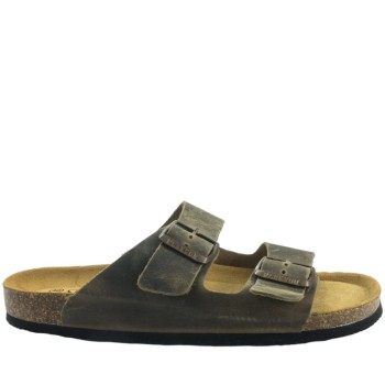 PLAKTON 175857  KAKI