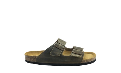 PLAKTON 175857  KAKI