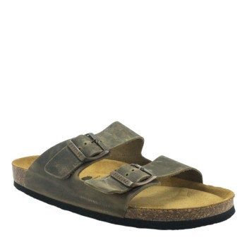 PLAKTON 175857  KAKI