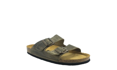 PLAKTON 175857  KAKI