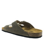 PLAKTON 175857  KAKI